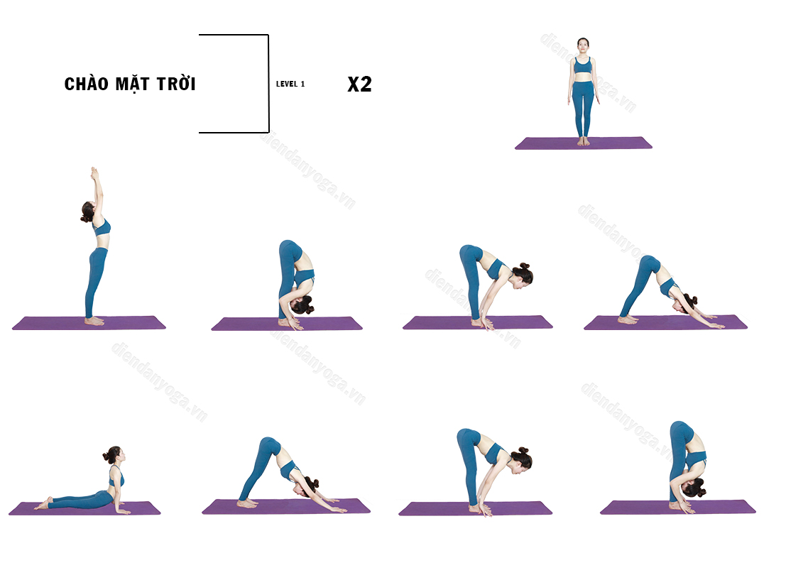 Giáo án Ashtanga Yoga – Chào mặt trời A